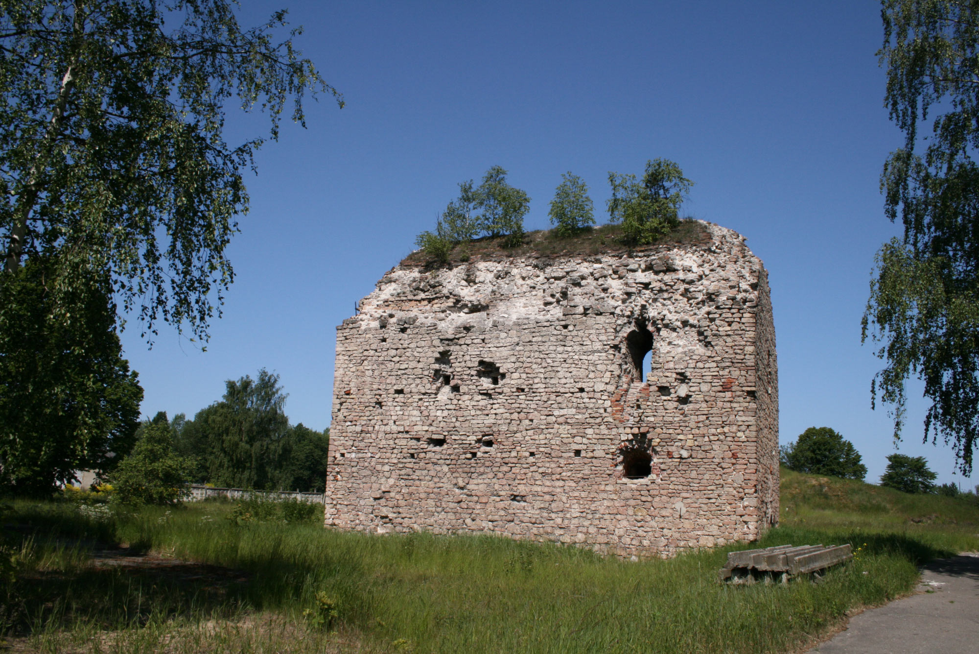 Daugavgriva